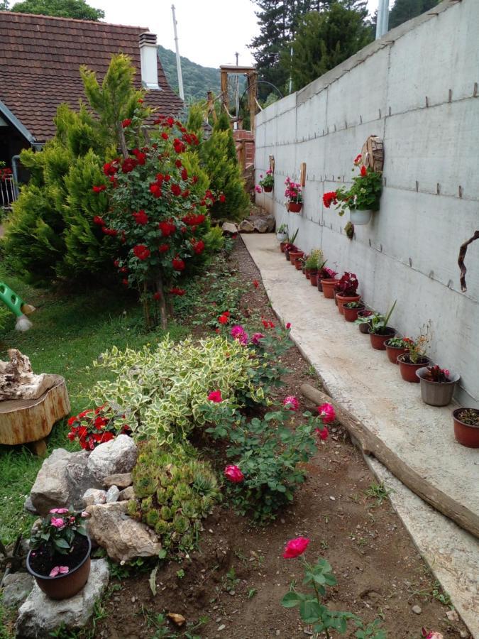 Skriveni Raj Apartment เวิร์ดนิค ภายนอก รูปภาพ