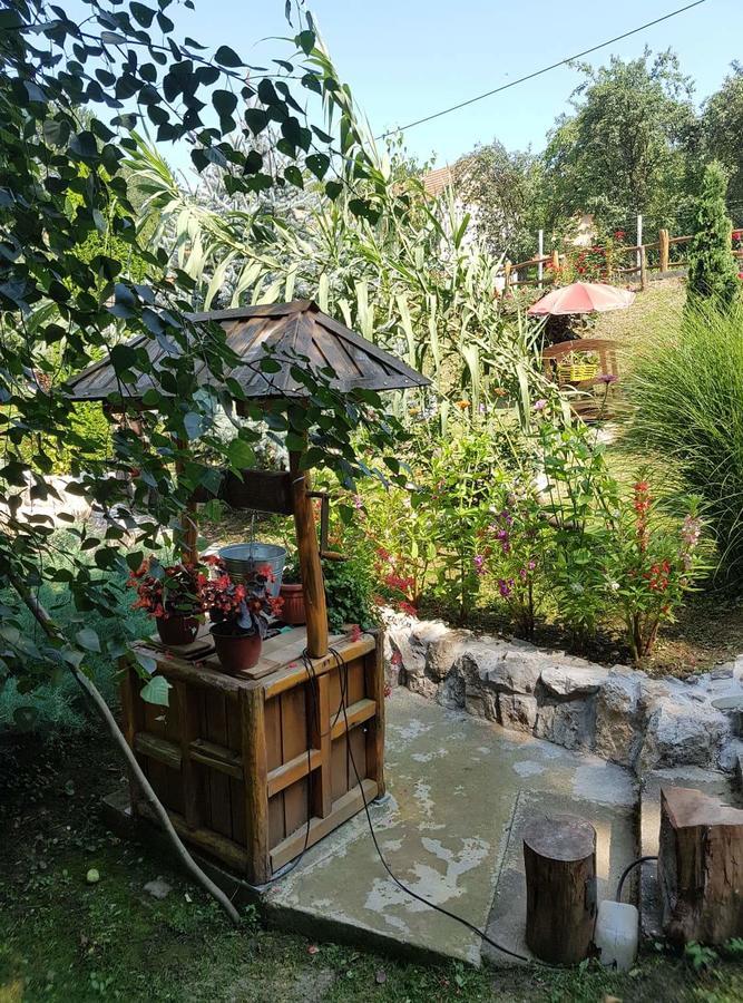 Skriveni Raj Apartment เวิร์ดนิค ภายนอก รูปภาพ